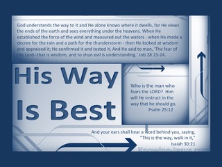 Job 28:24 God Understands The Way (blue)